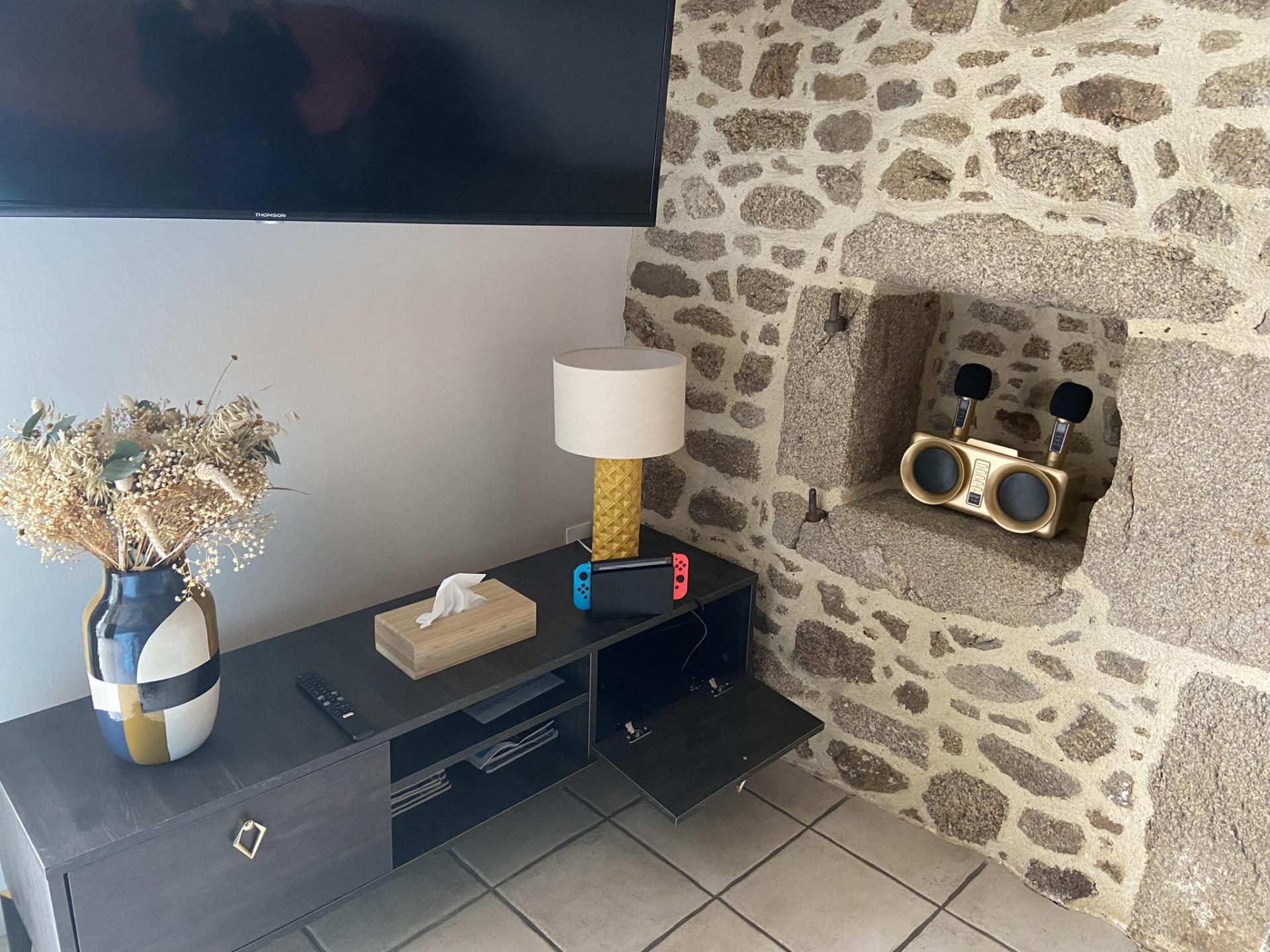 Enceinte Karaoké, Console Switch